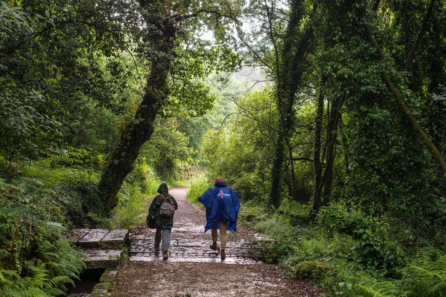 CAMINO DE SANTIAGO PORTUGUÉS